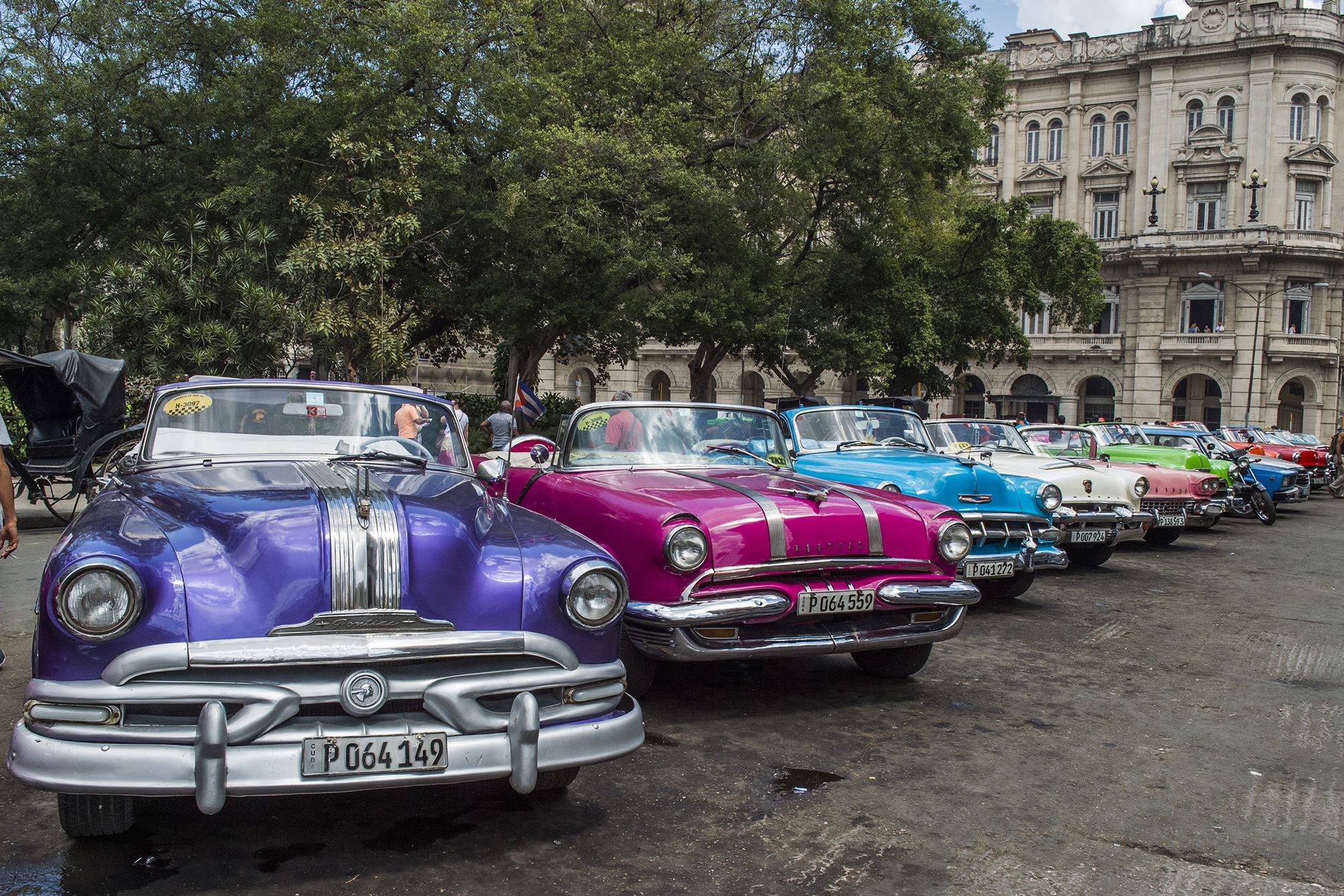 12273565_1124982310875431_3682837986957966266_o