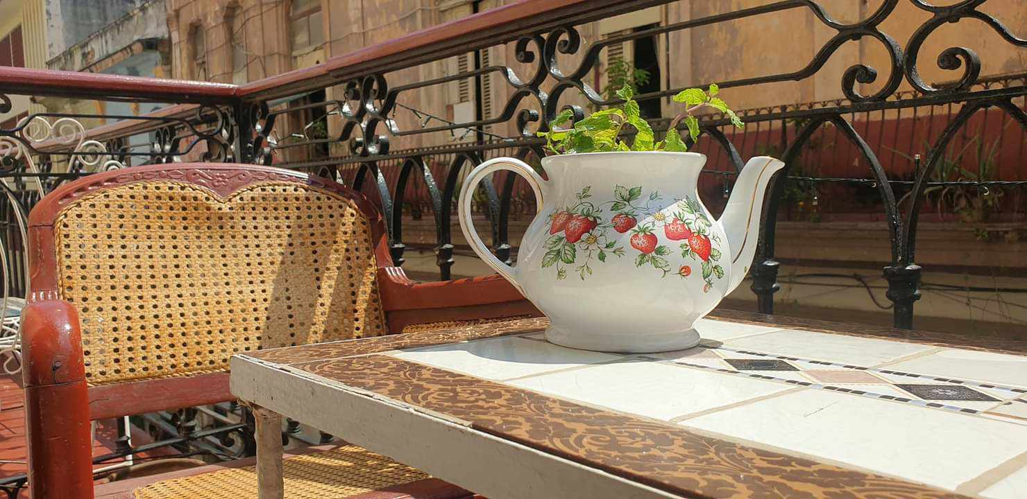 49666843_732587200443422_1892797812538605568_o